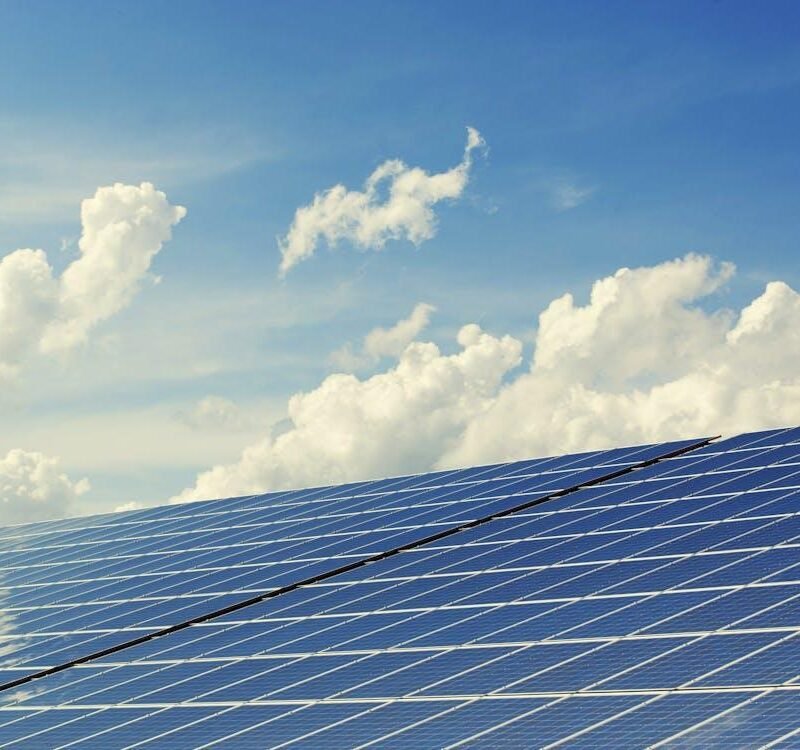 An image of solar panels
